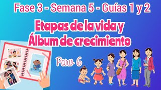 Las etapas de la vida y el álbum de mi crecimiento [upl. by Fanya71]