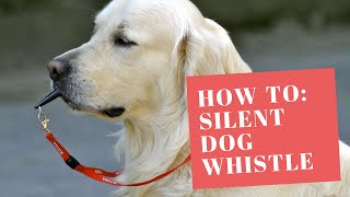 How to use Silent Dog Whistle [upl. by Ellenar]