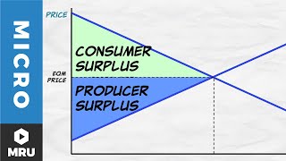 Exploring Equilibrium [upl. by Gerry]