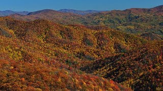 Tennessee Viewfinders for the Colorblind  TN Vacation [upl. by Sal]