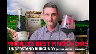 Finest Burgundy Wines  Your Guide to Top Pinot Noirs  VosneRomanée Pommard GevreyChambertin [upl. by Assetal]